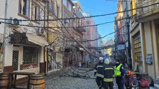 Стихийният вятър продължава: НИМХ обяви за какво да се готвим в понеделник