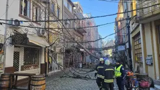 Ураганни ветрове помляха голям наш град: Дървета трошат коли