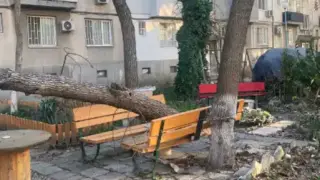 Цяло чудо е, че няма пострадали след този инцидент в Пловдив Снимки