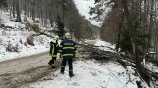 Със 100 км/ч.: Вятър изкара спешно пожарникарите в Пловдив, причината
