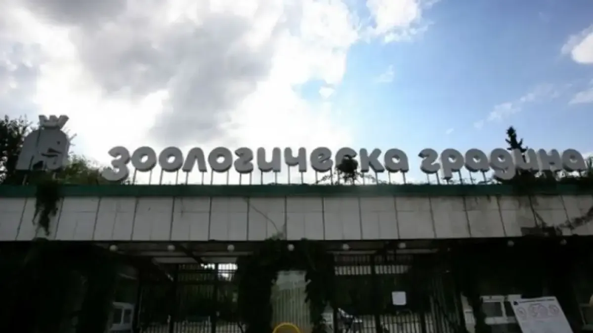 Затварят зоопарка в София след Нова година, причината е...