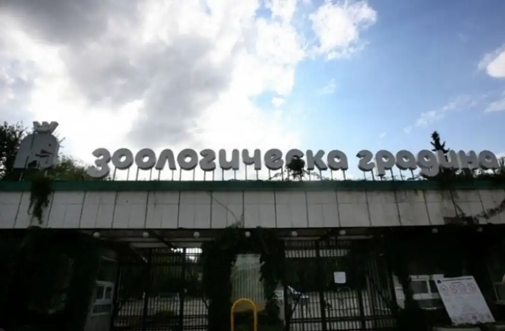 Затварят зоопарка в София след Нова година, причината е...