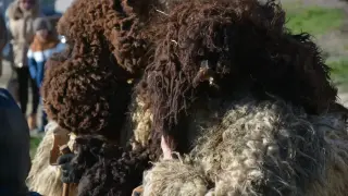 Мъже в овчи и кози кожи и тръгнаха насред това БГ село, причината е... Снимки