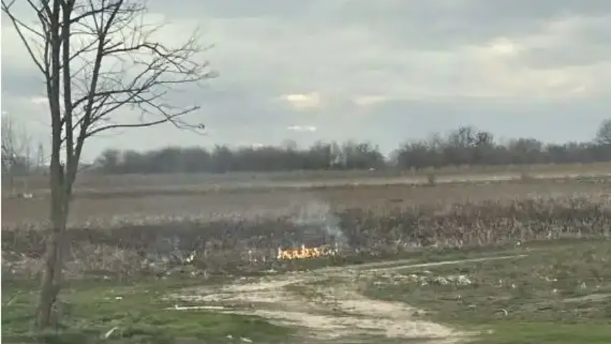 Опасност на пътя: Пожар лумна между Поповица и Милево, сухи треви застрашават района