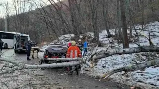 Шефката на парк "Витоша" след трагедията с млада майка: Не е ясно кой носи вина!