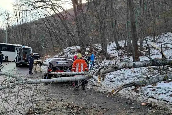 Шефката на парк "Витоша" след трагедията с млада майка: Не е ясно кой носи вина!