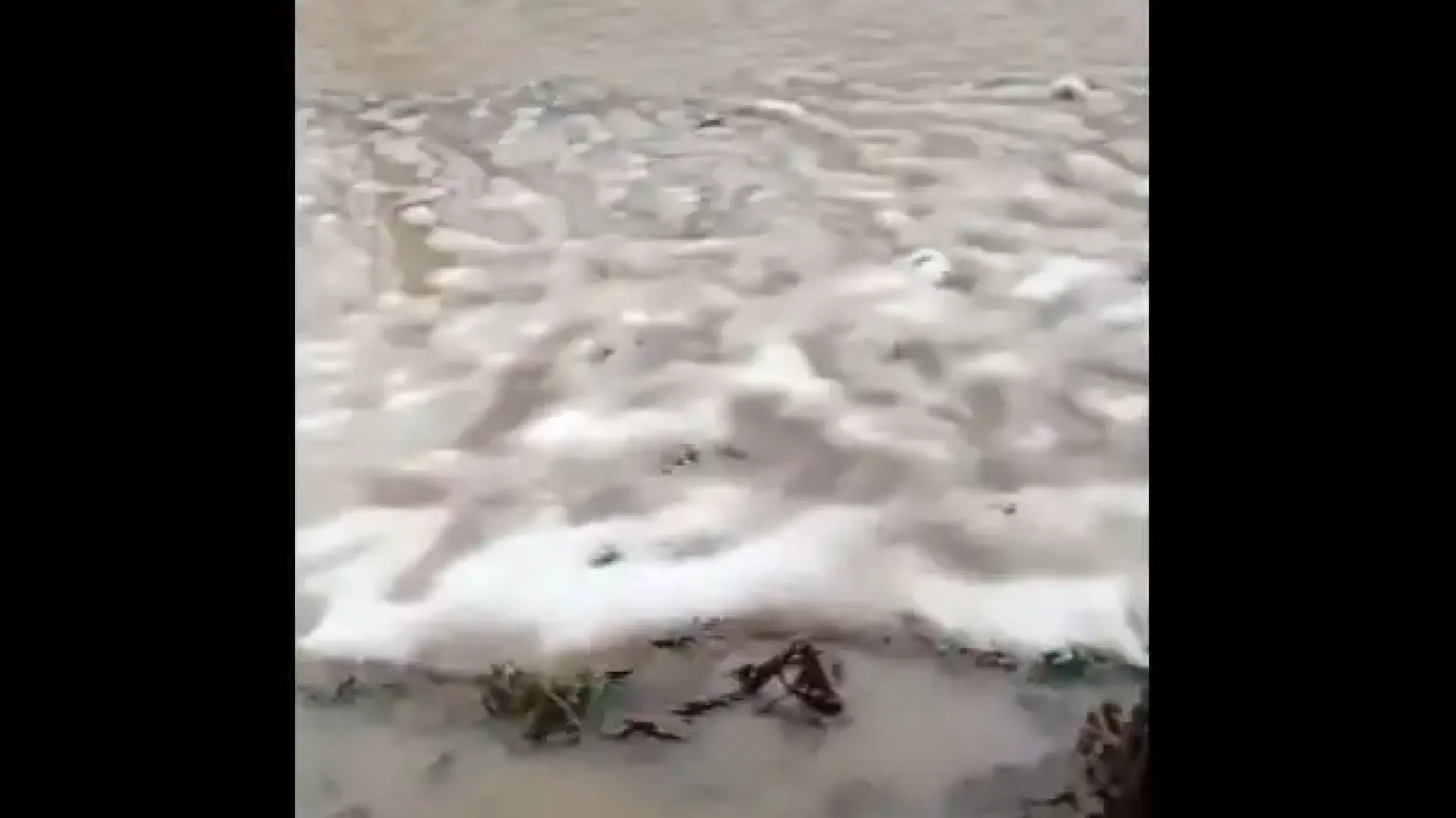 Кошмар в Северозапада! Река излезе от коритото си, заля дворове Видео