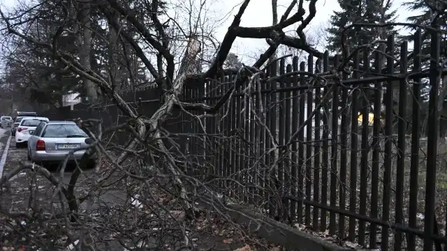 Инфарктна ситуация на метри от столична забавачка, по чудо няма жертви Снимки