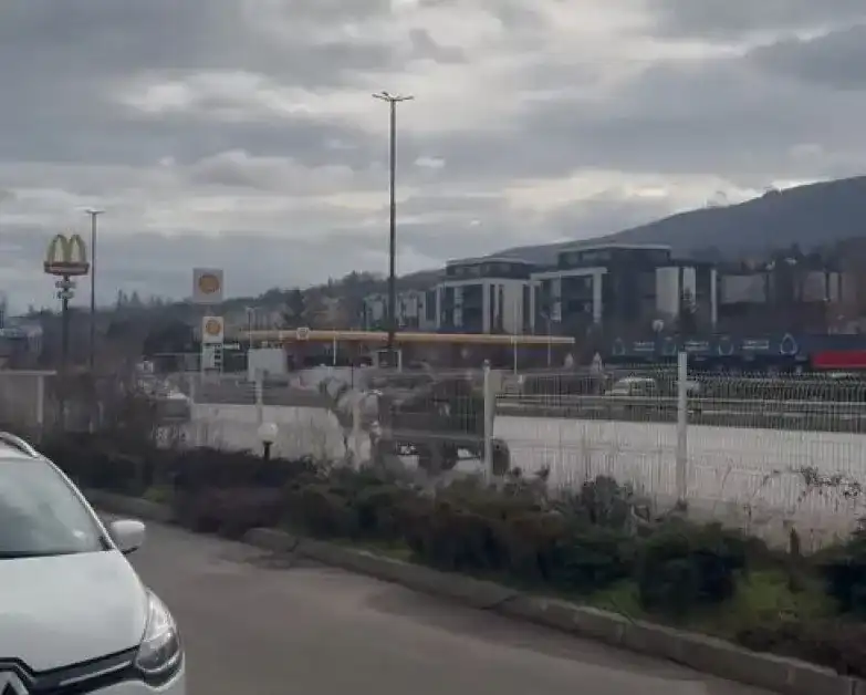 Кон с каруца припка в насрещното по Околовръстното на София Видео