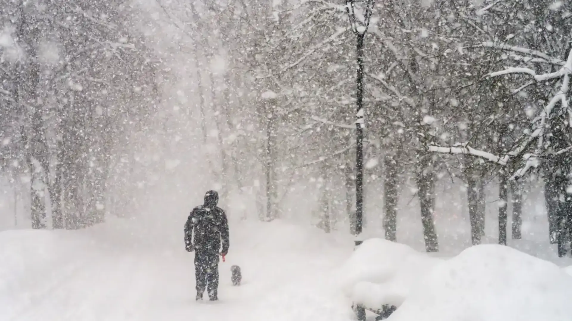 Снежна виелица удари този БГ град