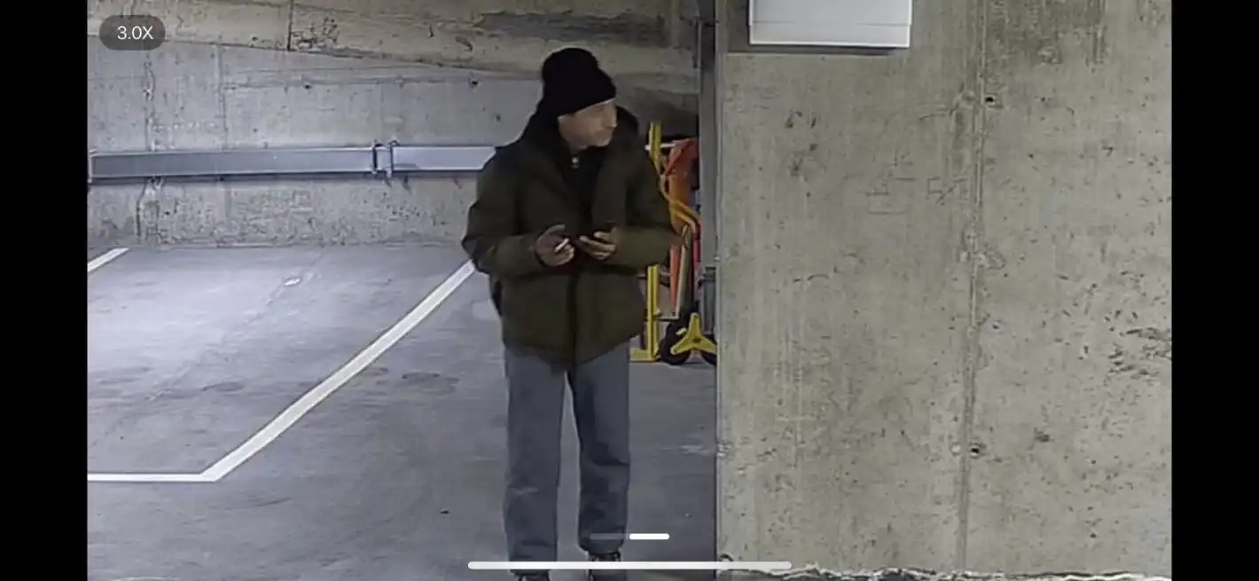 Заснеха крадец да се вихри навръх празника - ще бъде ли наказан? Снимки