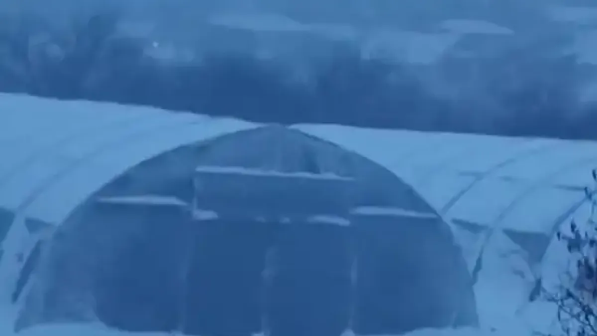 На студено и тъмно! Градове и села без ток заради снега
