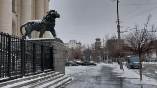 Работещите чужденци у нас не са само от Третия свят