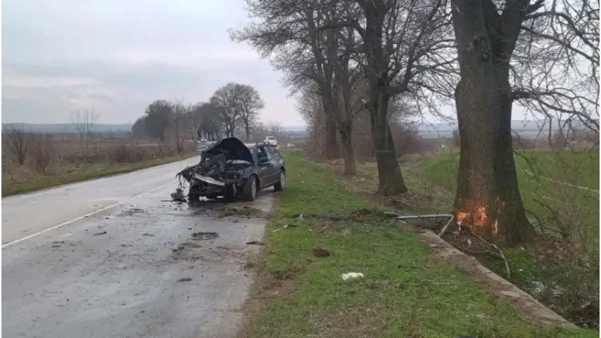 Жена шофьор отнесе знак и се заби в дърво във Видинско Снимки