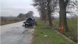 Жена шофьор отнесе знак и се заби в дърво във Видинско Снимки