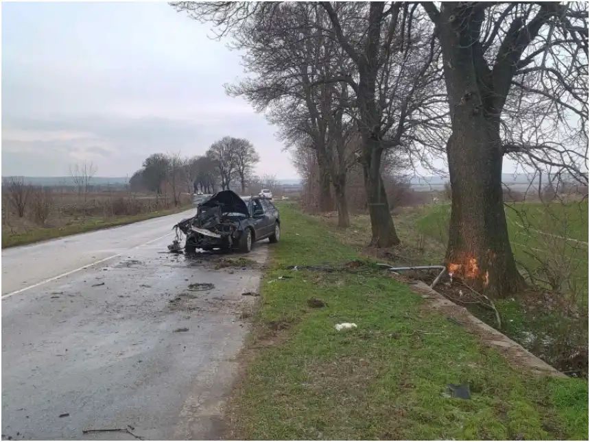 Жена шофьор отнесе знак и се заби в дърво във Видинско Снимки