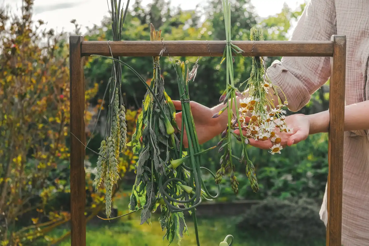 В помощ на метаболизма: Тези билки правят чудеса