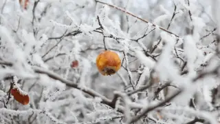 Свиреп студ сковава цяла България в понеделник, градусите падат до...