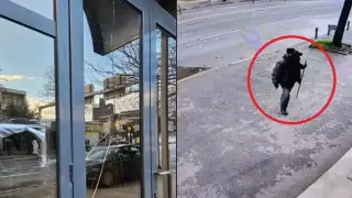 Посолството ни в Скопие показа вандала, извършил нападението Видео
