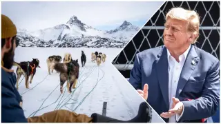 Тръмп: Отбраната на Гренландия са две кучешки шейни, няма да я оставя за Русия!