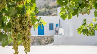 Гърция ви кани да се заселите в нея, дава по 500 евро на месец