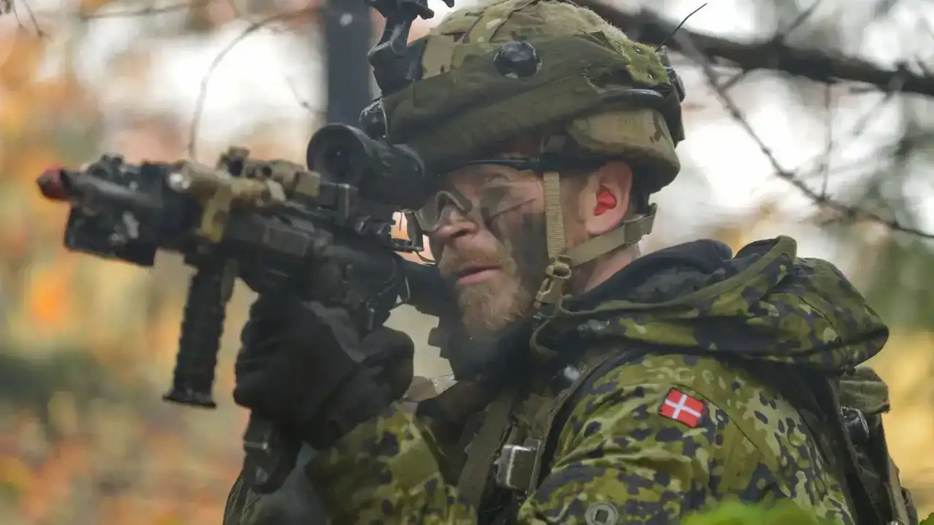 Дания започна да разполага свои сили в Гренландия