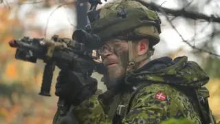 Дания започна да разполага свои сили в Гренландия