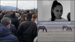 Смъртта на 18-г. Андреа - кон проби стъклото и влезе в колата, тя загина на място