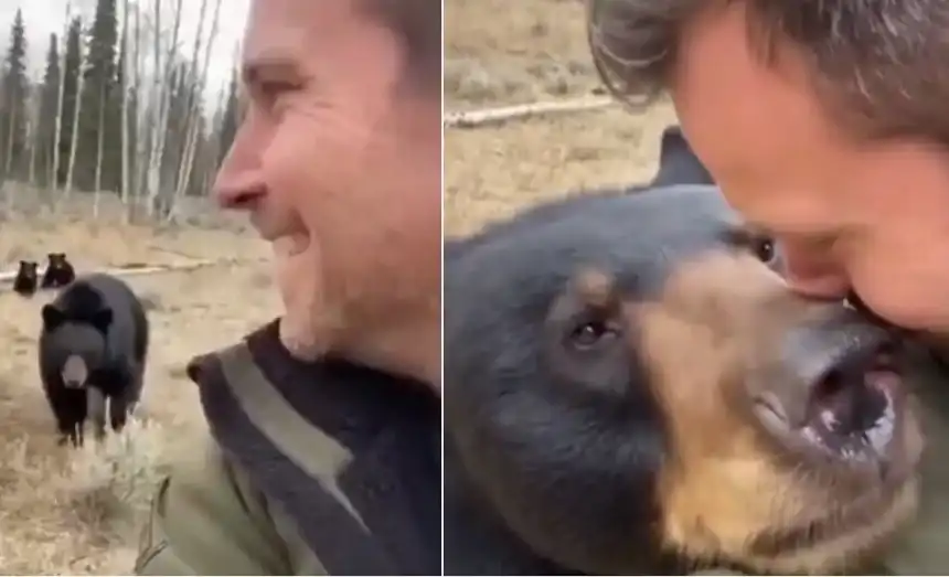 Ще ви стопли сърцето: Тази черна мечка не е забравила своя спасител
