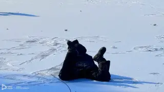 Кучи студ в Добрич! Езерото замръзна, а десетки ентусиасти... Снимки
