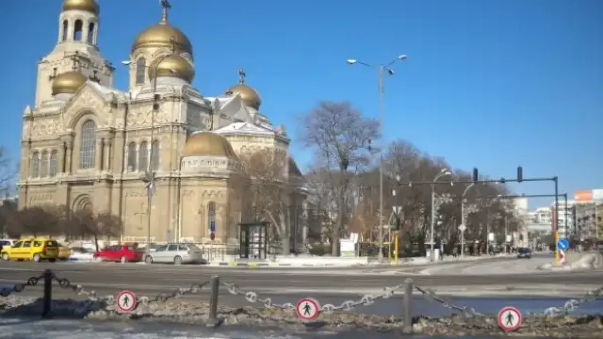 Няма спасение! Тази напаст, бъкана с опасни болести, ни тормози и насред зима