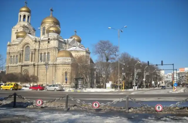 Няма спасение! Тази напаст, бъкана с опасни болести, ни тормози и насред зима