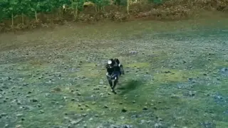 Чудо! Японци създадоха робот за яздене