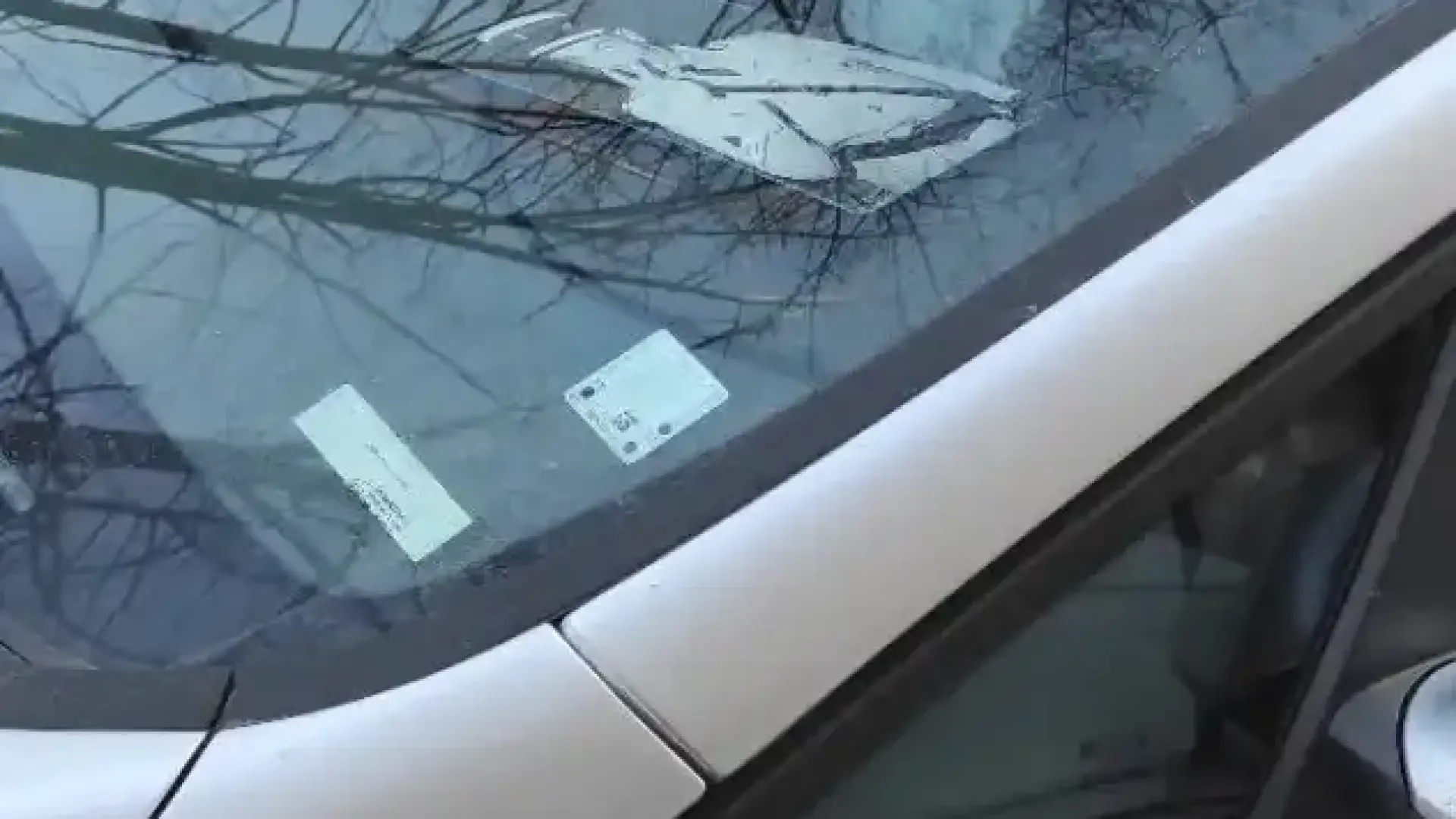 Зевзек смая столичани! Не е за вярване кой бди над колата му Снимки