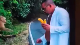 Родни чобани тормозят маймунки в Тайланд, кадри на българите заляха социалните мрежи Снимки