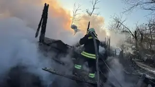 Герои с четири лапи: Бездомни кучета спасиха живота на треньор при огнен ад във "Фанагория" Снимки