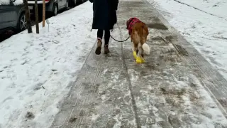 Времето в петък носи студ и сняг
