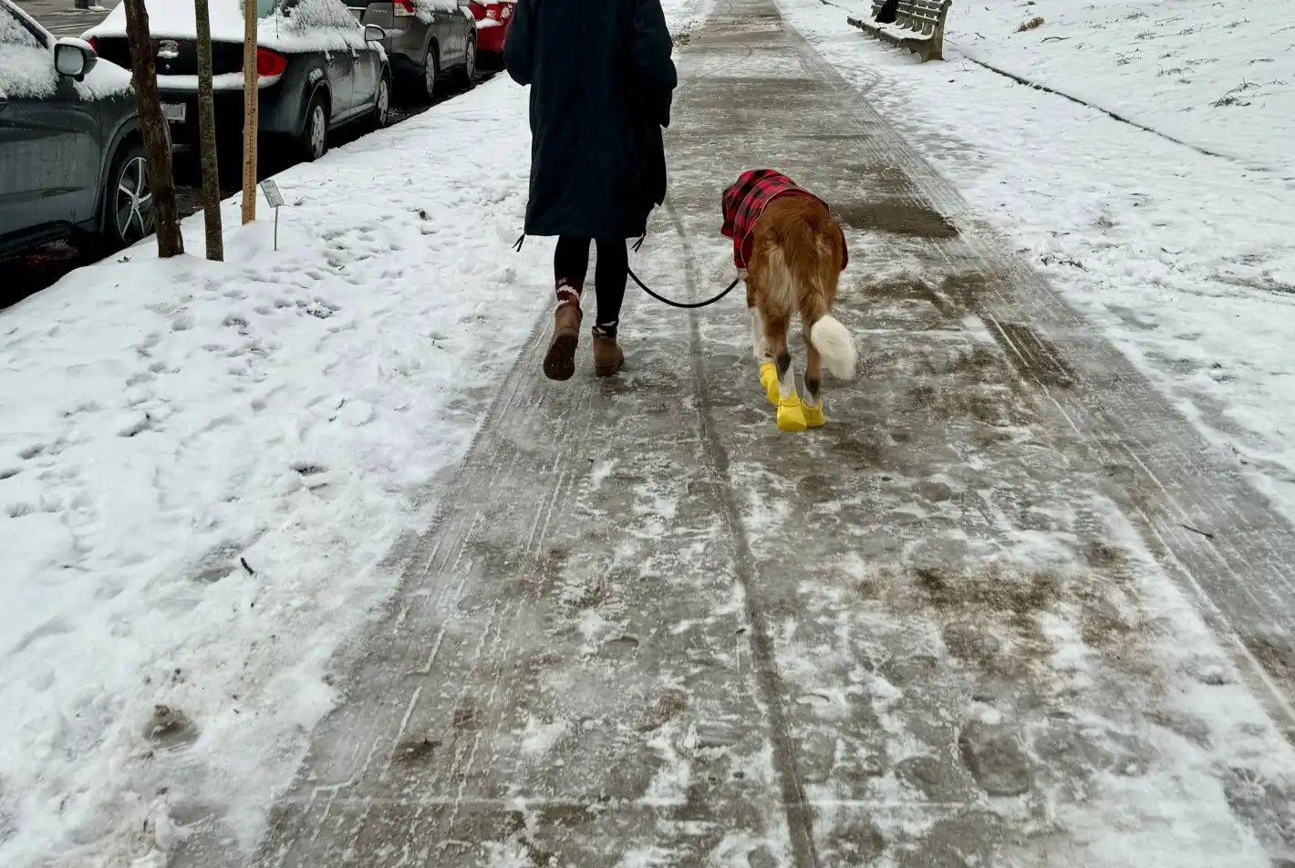 Времето в петък носи студ и сняг