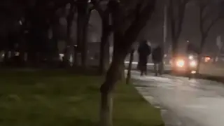 Пловдивчанка: Беше като във филм на ужасите!