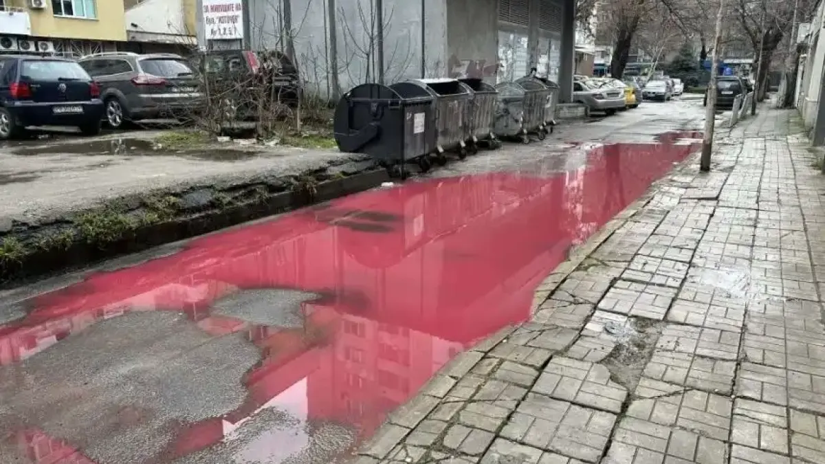 Зловещо! Мистериозни червени локви бликнаха в Пловдив Снимки