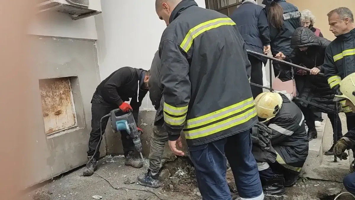 Строители зазидаха живо коте в Бургас, над седмица мяука жално