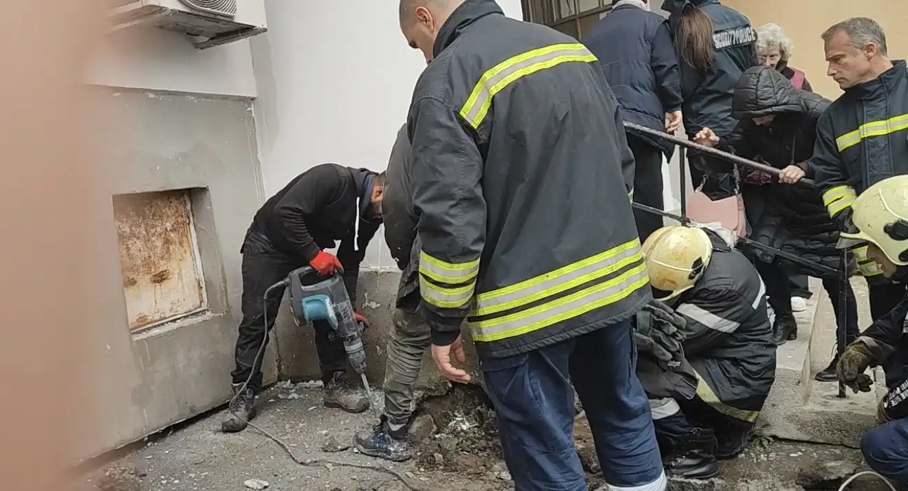 Строители зазидаха живо коте в Бургас, над седмица мяука жално