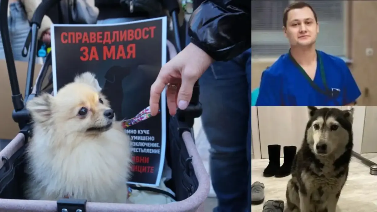 Пред ВМА ще ври и кипи заради доктора, прегазил и убил Мая