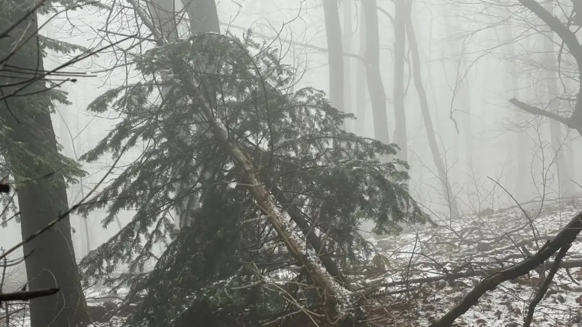 Един от потенциалните бъдещи служебни премиери изненада с тези Снимки