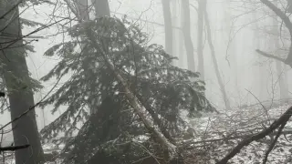 Един от потенциалните бъдещи служебни премиери изненада с тези Снимки