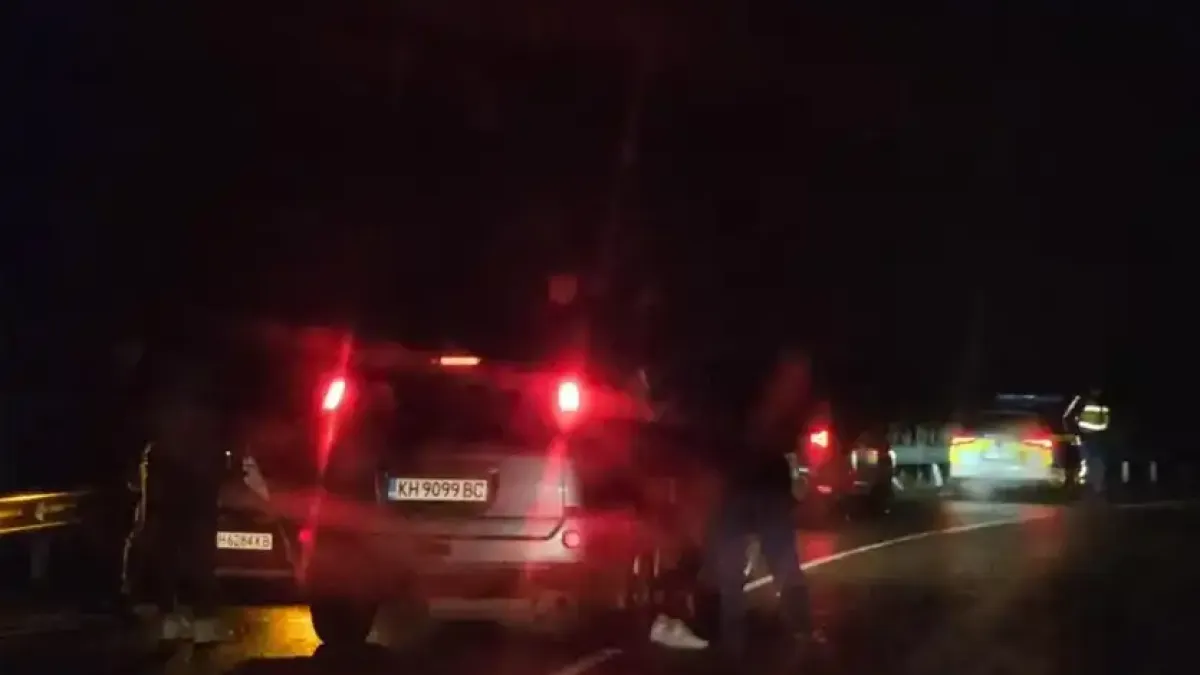 "Щеше да ни убиеш, ти заспа над волана!": Полицай заби колата над пропаст край Кюстендил, а вътре децата му и съпругата по чудо са живи Снимки