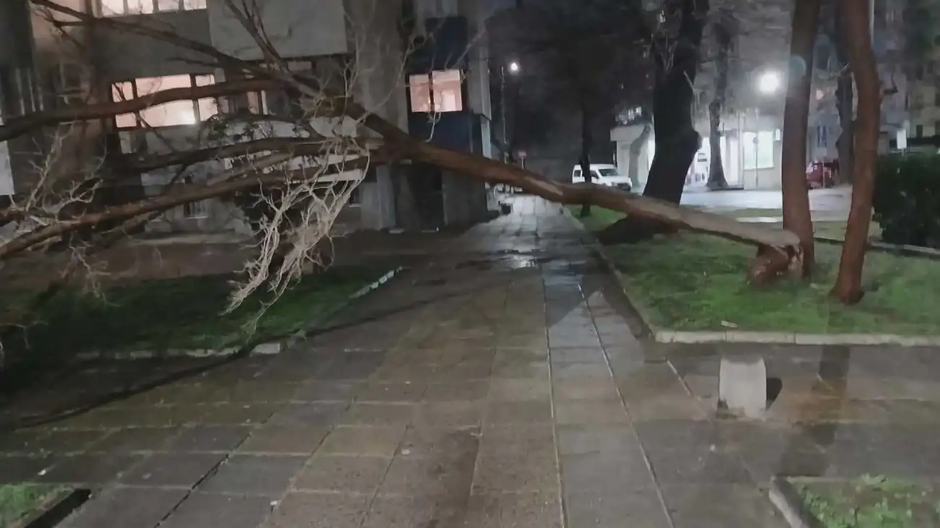 Ураганен вятър помете част от Бургас, потрошени са дървета и стълбове