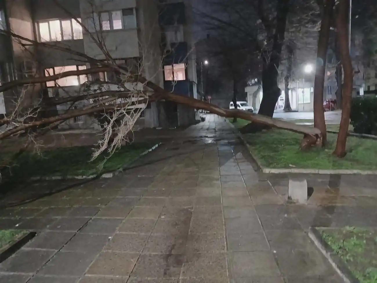 Ураганен вятър помете част от Бургас, потрошени са дървета и стълбове