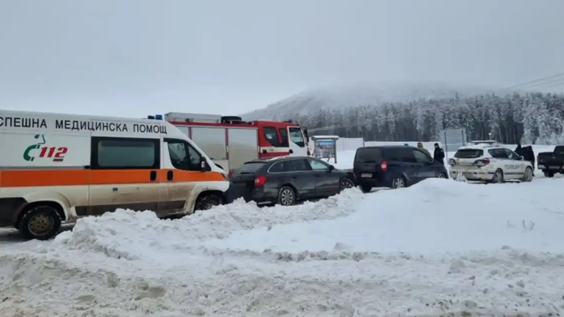 Дирят под дърво и камък поне 7 души в София, Плевен и Бургас във връзка с тройното убийство край „Петрохан"