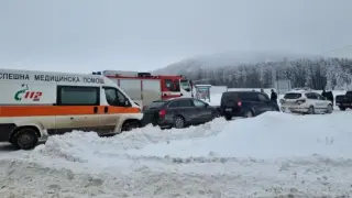Дирят под дърво и камък поне 7 души в София, Плевен и Бургас във връзка с тройното убийство край „Петрохан"